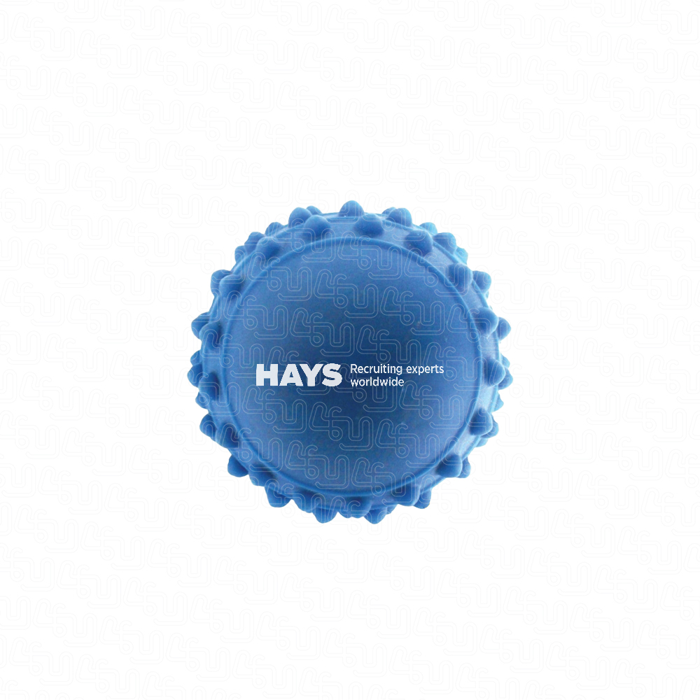 Hays Recrutamento