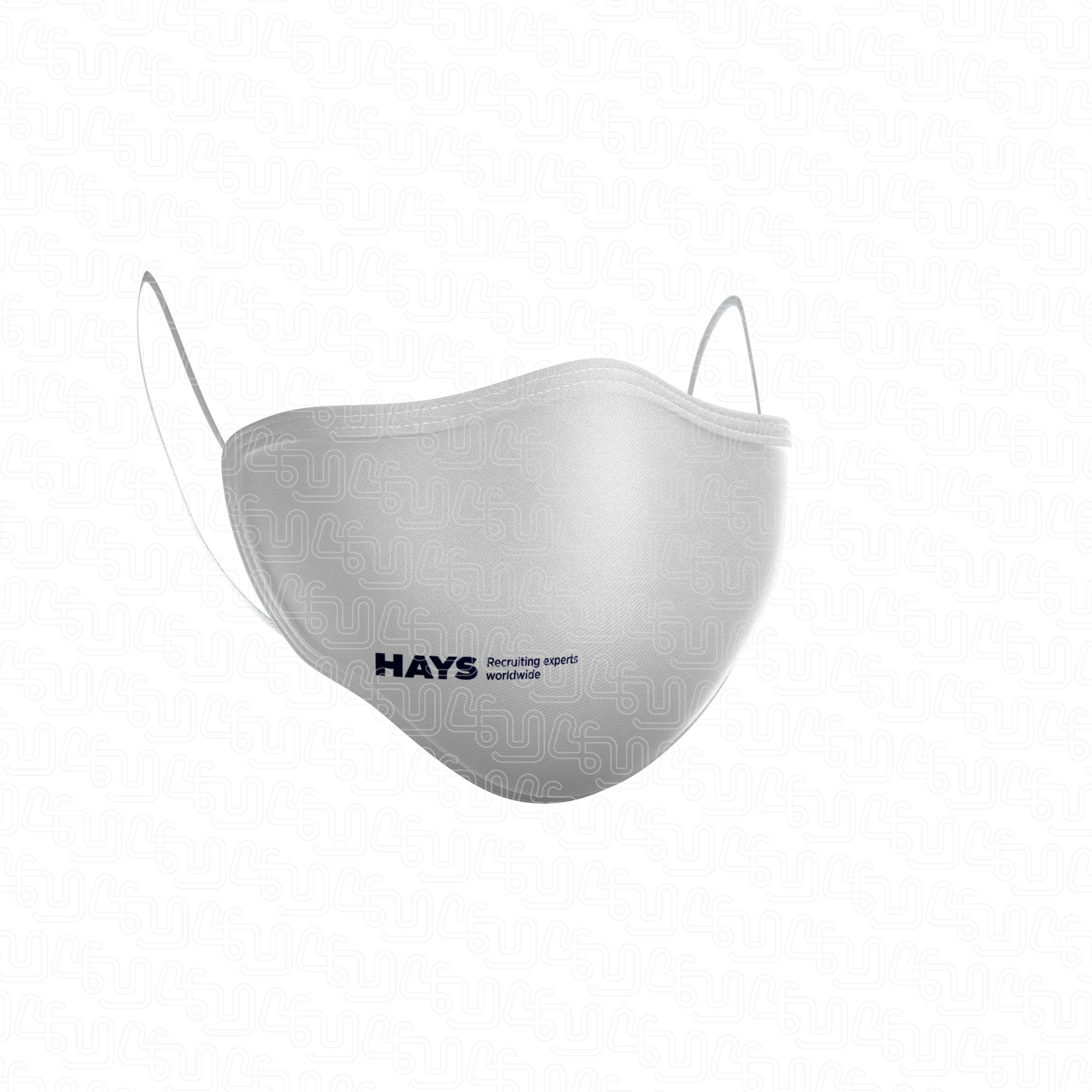 Hays Recrutamento