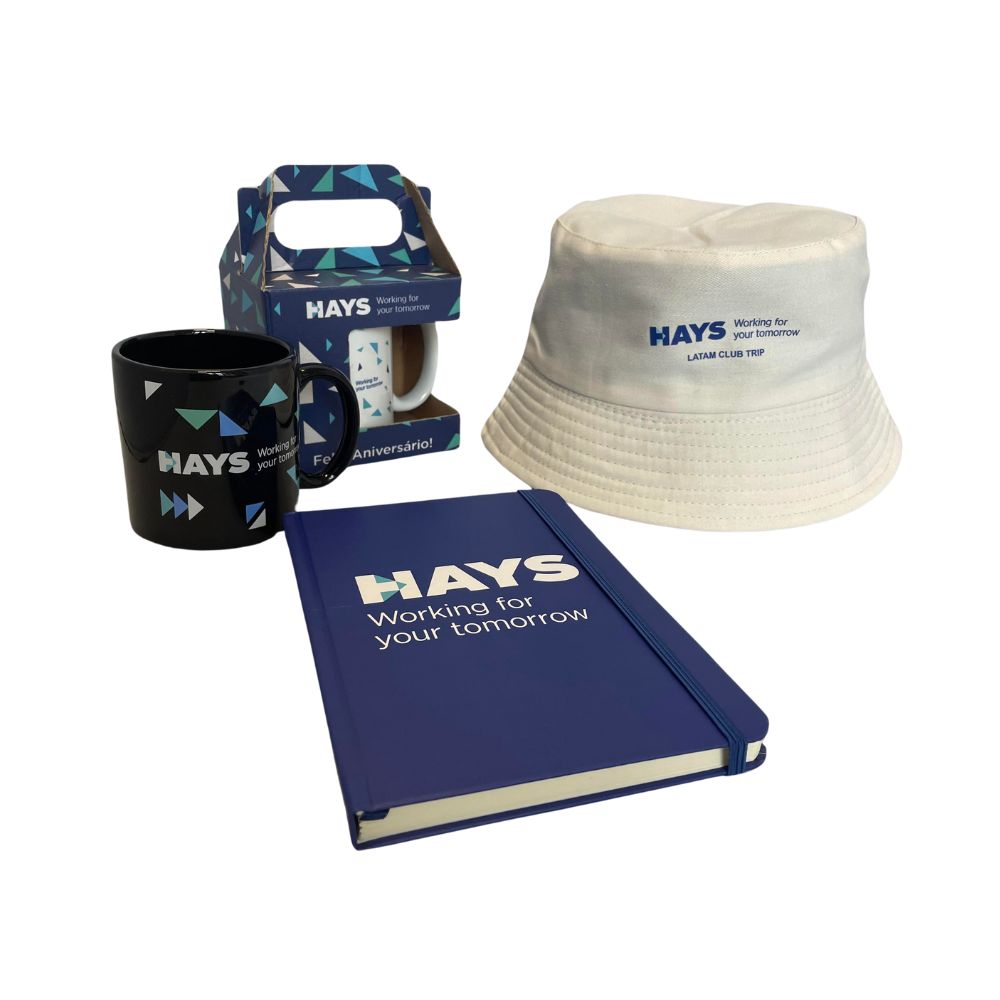 Hays Recrutamento