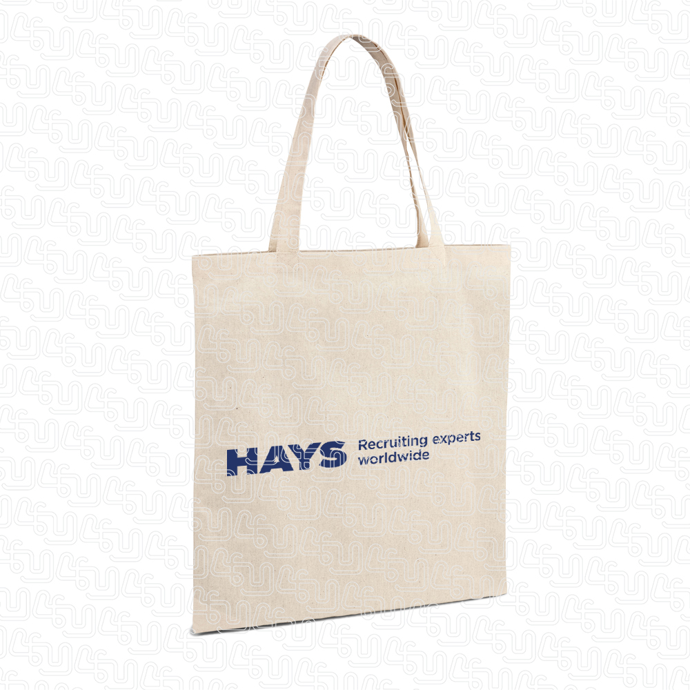 Hays Recrutamento