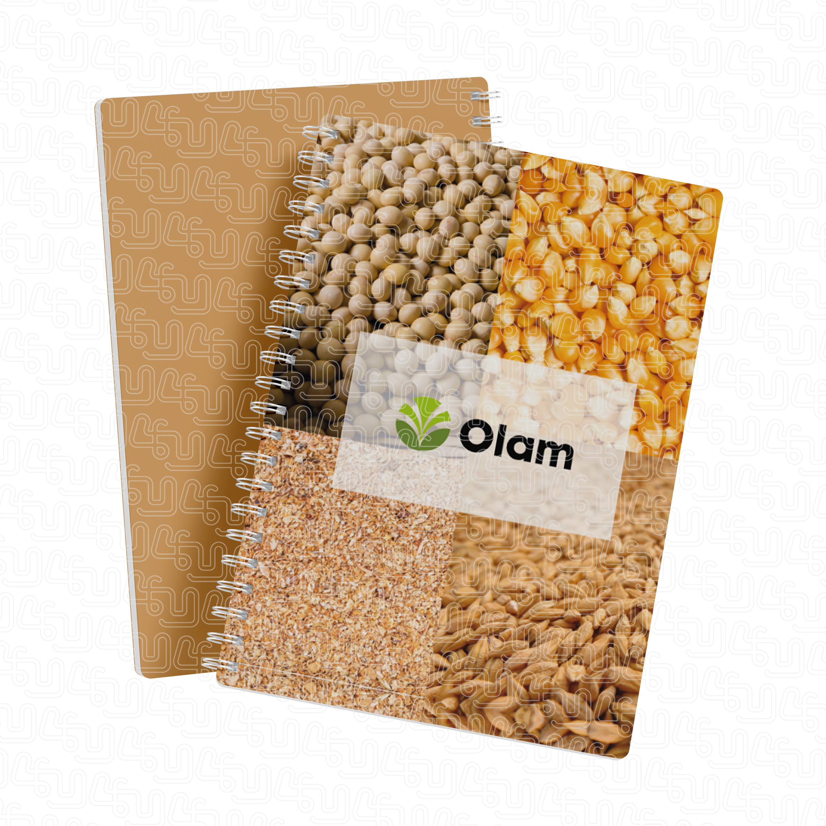 Olam