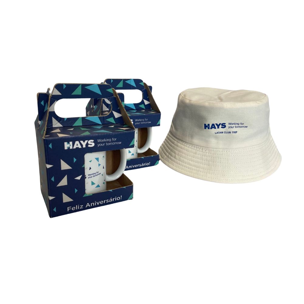 Hays Recrutamento