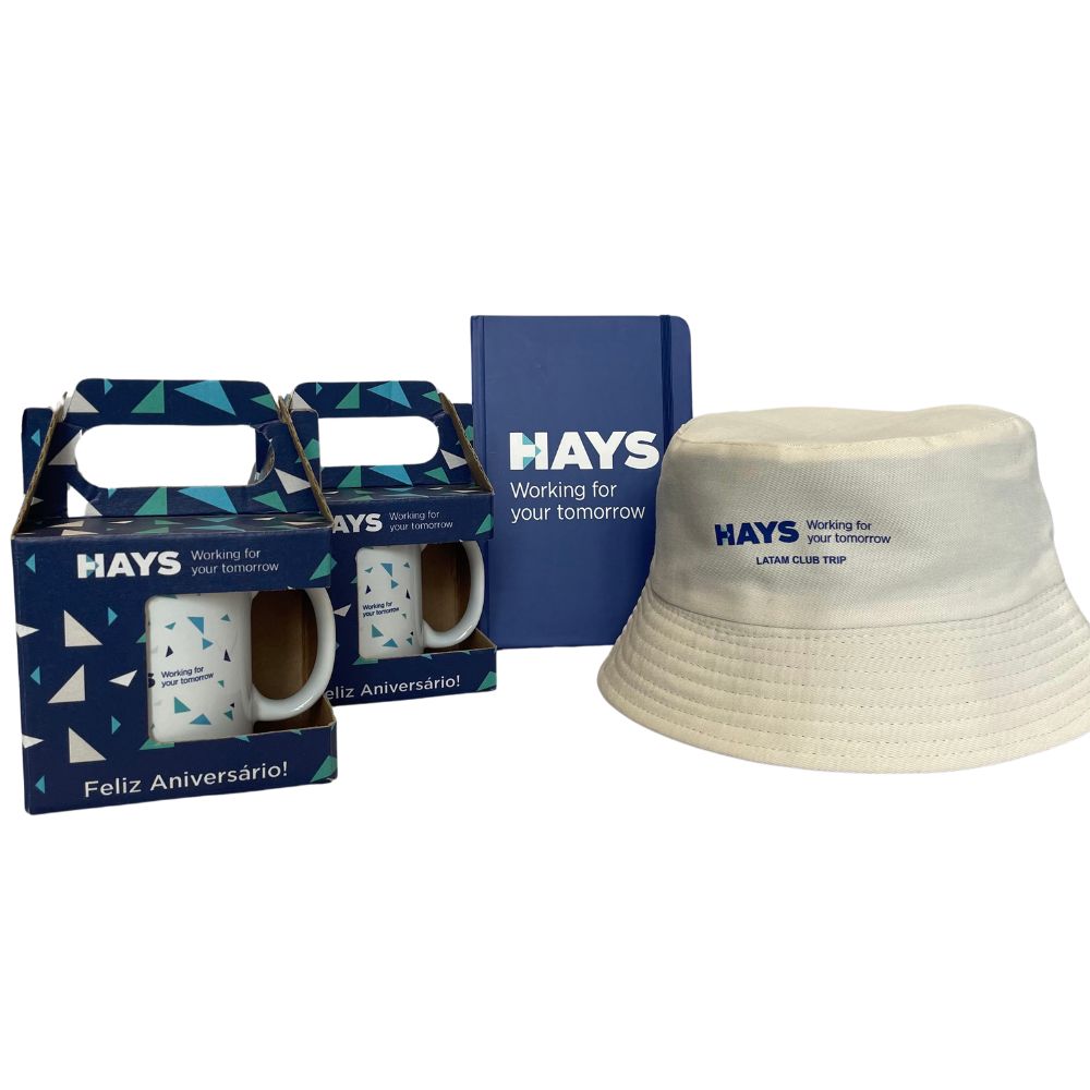 Hays Recrutamento